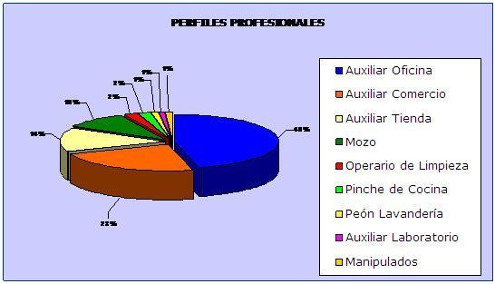 La integración laboral de personas con discapacidad intelectual 2